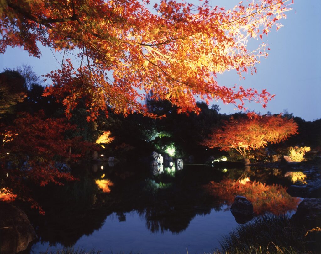 万博記念公園 紅葉まつり 11月７日 土曜日 から 1970年大阪万博50周年記念プログラム 日本庭園の夜間ライトアップも Osaka Meikan News
